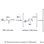 复旦蔡泉课题组Nature Catalysis：过渡金属催化的Type II型全碳反电子需求[4+2]环加成反应研究进展