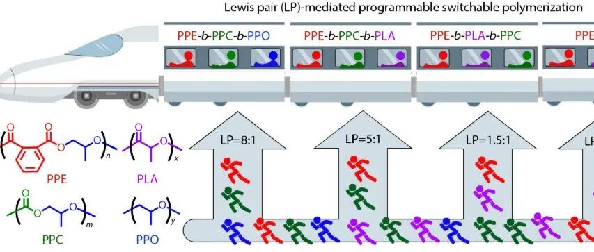 CJPS | 华中科技大学王勇：有机协同催化“魔法”，一锅法编程合成序列可控嵌段共聚物