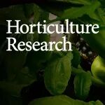 Hortic Res | 重庆市渝东南农业科学院（西南大学涪陵研究院）联合中国农科院蔬菜花卉所解码榨菜驯化历程