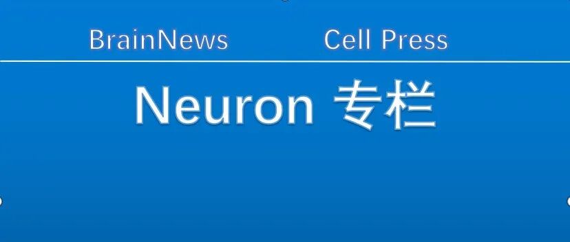 Neuron：“神经-免疫”互作驱动压力与情绪行为