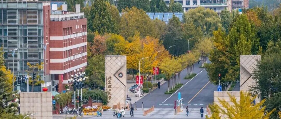 研究前沿：吴锋院士领衔！北京理工大学陈人杰/李丽团队：有效离子势指导锂离子电池升级回收 | Advanced Materials