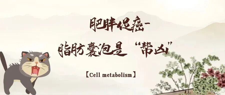 Cell Metabolism：肥胖促癌-脂肪囊泡是“帮凶”