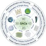 Nano Res.[催化]│南方科技大学陈洪课题组：环境修复用单原子催化剂设计：原理、结构、性能