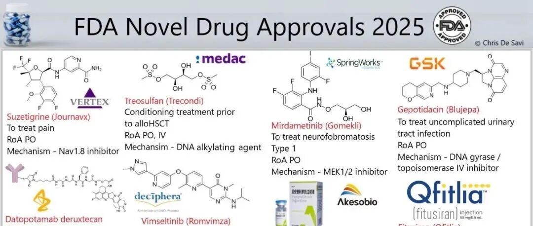 FDA｜2025年医药人提交的答卷：转载Chris De Savi