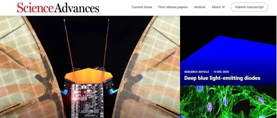 Science Advances：基于微纳光纤的超灵敏多感觉光学触角