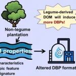 北京师范大学李立平团队JHM：人工林类型调控土壤源DOM的分子特征及其氯反应性——豆科人工林中消毒副产物生成潜能增强
