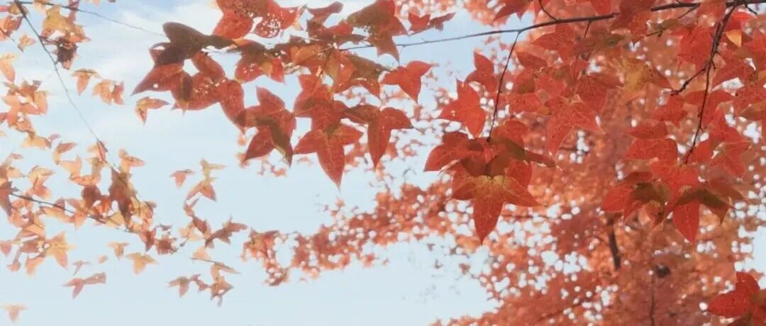 研究进展：华中科技大学，拓扑手性分子结-手性诱导自旋选择性CISS | Nature Communications