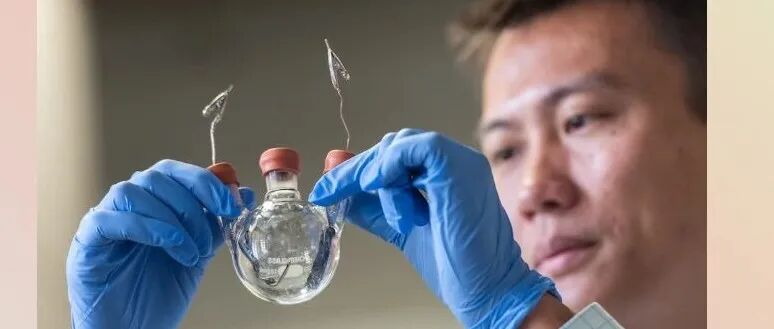 崔屹教授在斯坦福任教20年总结之育才篇