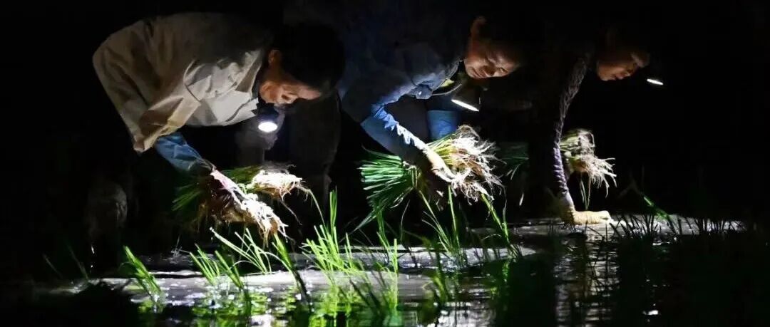 【转载】《科学》评选2025年10大突破，中国引领头号突破