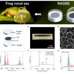 Science Advances：青蛙声囊启发的软声学系统，具备持续可调谐共振以实现声音发射和听诊感知