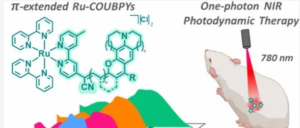 JACS ¦ 用于单光子780 nm近红外光激活体内抗癌光疗的π-扩展钌–COUBPY光敏剂