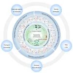 华盛顿州立大学张锦文教授团队 PPS 综述：热固性树脂及其复合材料的选择性断键化学回收