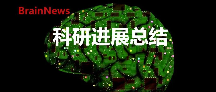 2025年北京脑科学与类脑研究所重要科研成果汇编