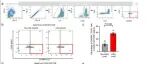 复旦大学景莹等团队合作最新Nature子刊