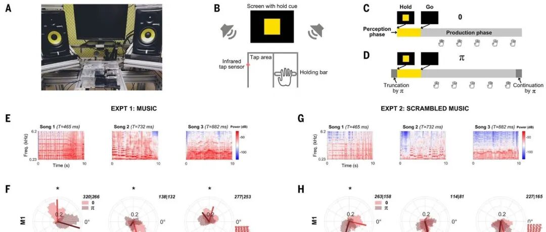 挑战经典理论！猴子竟然可以当DJ？Science：音乐，或许是一种跨越物种的通用语言