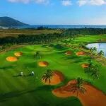 重磅！总投资约22.32亿元！本地第一所本科(农业）大学正式获批