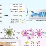 ACS Nano | 南方医科大学喻志强等团队研究利用顺铂衍生前药作为脂质纳米粒辅助脂质增强癌症治疗效果