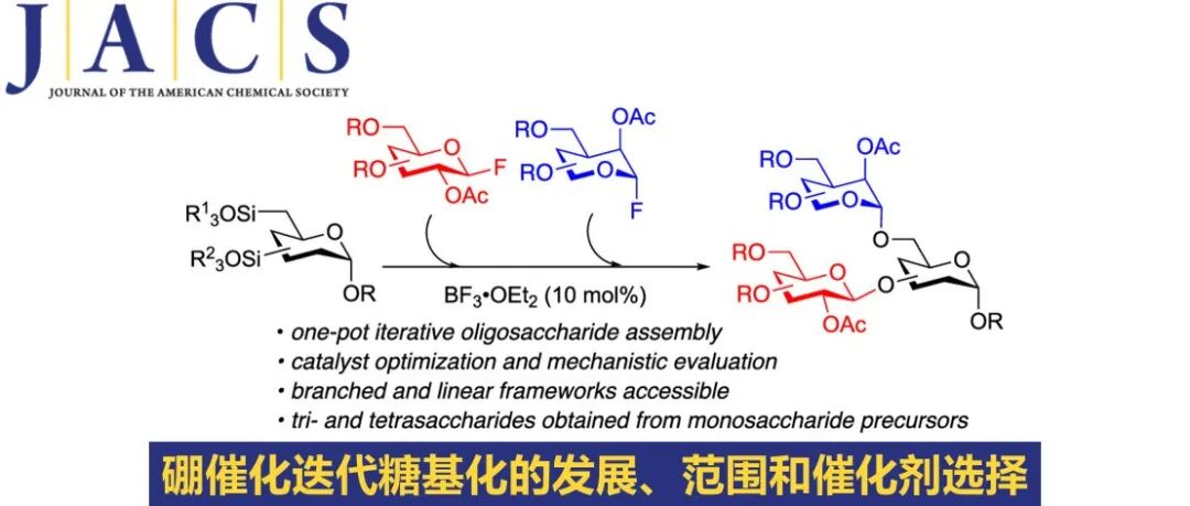 JACS | 硼催化迭代糖基化的发展、范围和催化剂选择