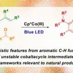 【ACS Catal.】耶鲁大学Ellman：可见光催化烯基C–H键对二烯和醛的加成反应—用于合成与聚酮类天然产物相关的骨架结构
