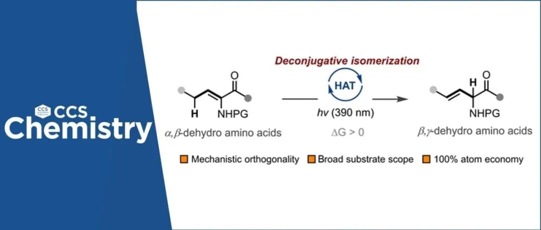 【CCS Chem.】东南大学胥攀课题组：光催化氢原子转移实现α,β-脱氢氨基酸的逆热力学烯烃位置异构化
