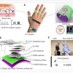 韩国光云大学《AFM》：基于多孔碳的离子混合智能戒指，实现先进的人机交互