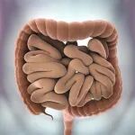 《食品科学》：浙江药科职业大学黎海涛教授等：基于肠道微生物组学对食物口味偏好及渴求的生理机制
