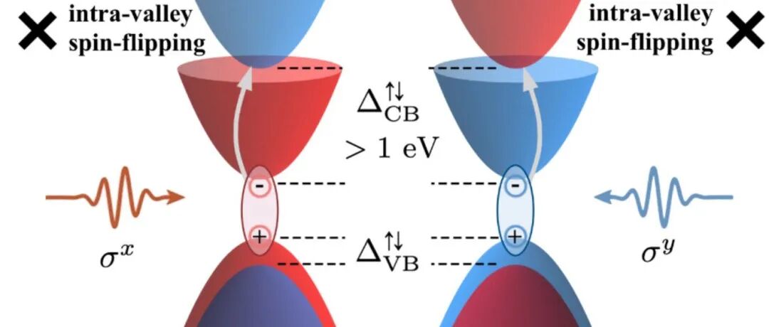 (纯计算)南京理工大学阚二军/杜永平团队Phys. Rev. B: 通过自旋-动量锁定激子实现二维交错磁体中的光学可控自旋极化