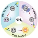 上海交通大学叶天南团队Chemical Science综述：实现等离子体合成氨：从机制见解到催化剂设计