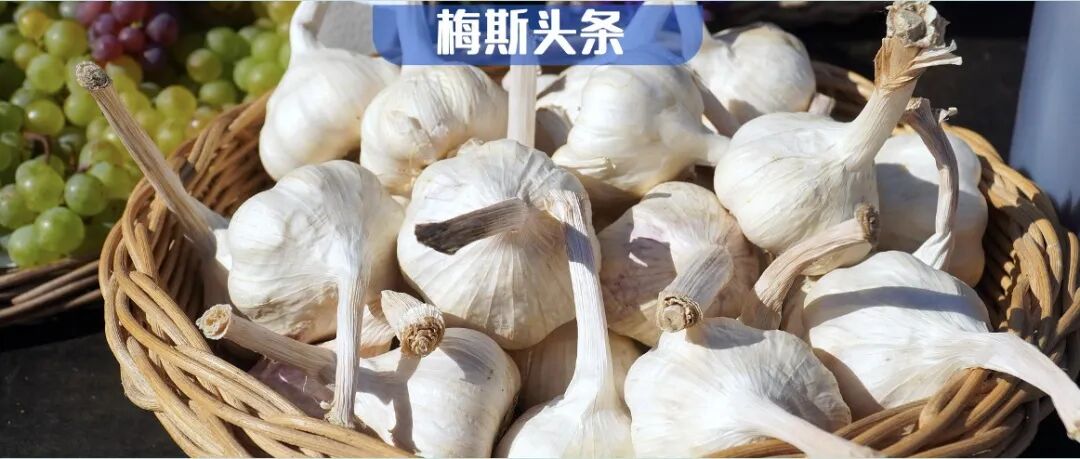 爱大蒜的理由找到了！Cell子刊：经常吃，不仅寿命延长11.4%，改善代谢和认知，效果超越二甲双胍，胃癌死亡风险还能降低34%