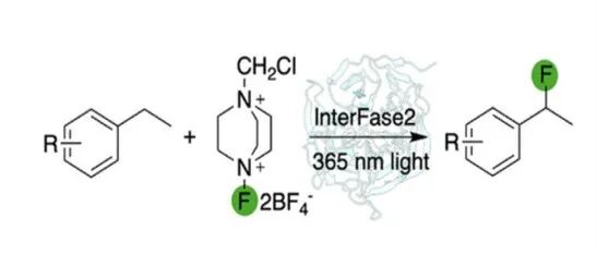 阅读 Angew丨驾驭光酶系统实现分子间碳氢键氟化