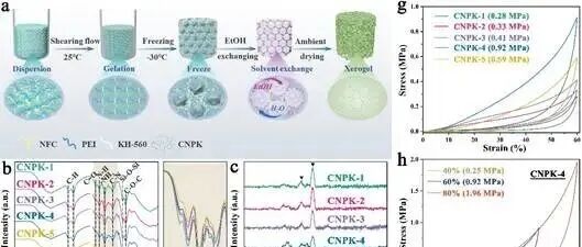 西湖大学王蕾团队WR：高容量富集全氟和多氟烷基物质的可规模化、可持续纤维素干凝胶