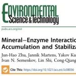 天津大学余光辉团队ES&T：矿物-酶相互作用驱动冻土土壤中有机碳的积累与稳定