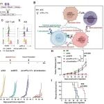 四川大学王刚/刘明最新Leukemia