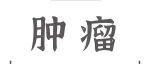 Adv Sci丨王俊课题组联合黄陈团队揭示DAP5 介导替代性翻译维持肿瘤浸润 Treg 存活