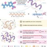成都理工大学胡安俊&龙剑平Energy Storage Mater.：三功能分子基元工程构筑高截止电压固态聚合物电解质