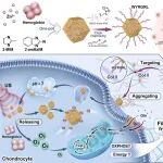 ACS Nano：远程控制的纳米泵可递送氧气以促进骨关节炎中的能量生成