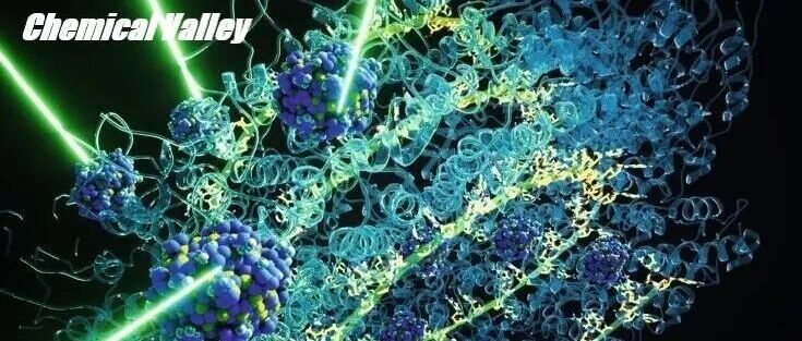加州大学杨阳团队：1,3-氮迁移反应的高效生物催化
