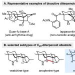 JACS｜北京大学贾彦兴团队完成C20-二萜生物碱acoapetaludine A首次全合成