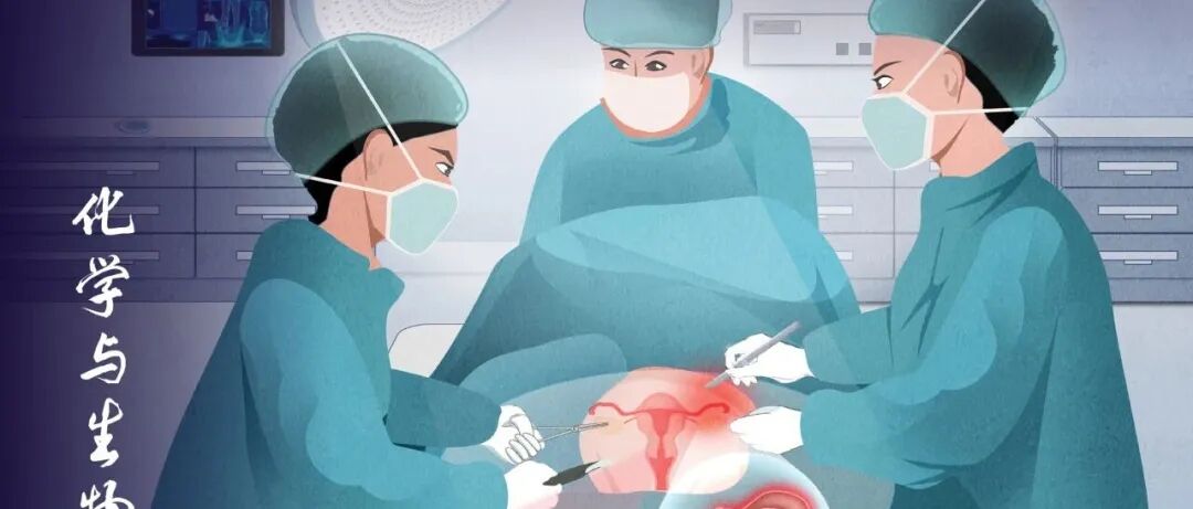 Chemical & Biomedical lmaging 2025年第12期发布：分子振动成像探针和受激拉曼散射成像等