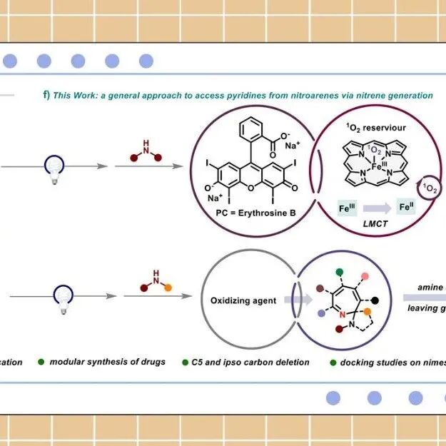 【Angew. Chem.】印度理工学院：光催化硝基苯至吡啶的通用骨架编辑
