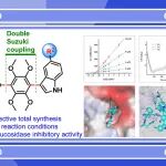 【J. Org. Chem.】五邑大学闫加磊/徐学涛：新型天然α-糖苷酶抑制剂的全合成与作用机制研究
