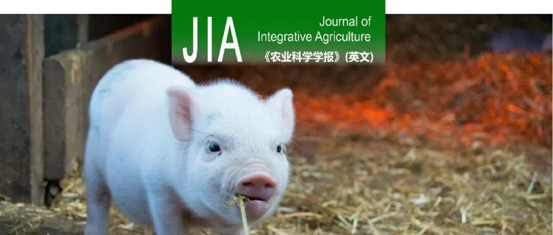 JIA | 中国农业科学院北京畜牧兽医研究所王立贤研究员团队揭示猪恢复力性状的遗传机制
