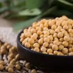 《食品科学》：中国农业科学院王凤忠研究员、李春梅副研究员等：大豆原料的传统豆制品加工适应性研究进展