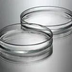 《食品科学》：上海理工大学王翔副教授等：生物被膜增强食源性致病菌耐药性和毒力的研究进展