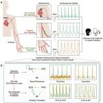 研究进展：清华大学，多模态扩散模型-心血管信号实时监测 | Nature Machine Intelligence