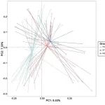 Microbiome | 袁慧娟教授团队揭示Graves眼病发病新机制和微生态治疗新靶点