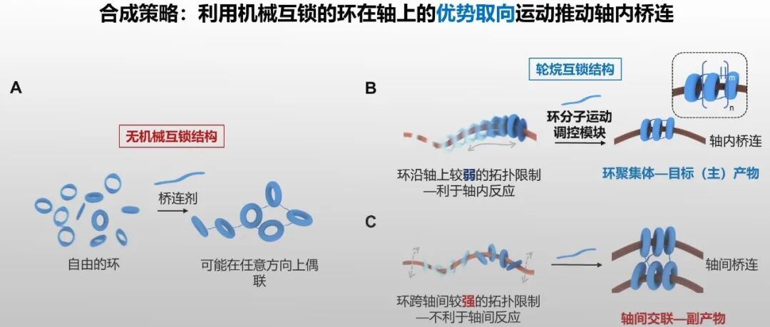 中山大学林倩明课题组 JACS：生物医用聚轮烷分子机器的构建及其分子运动的调控
