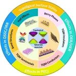 云斯宁教授团队JMCA综述揭示能源转换新路径：拓扑量子材料领航未来绿色能源