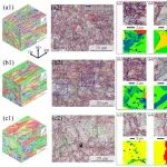 广东省科学院&河工大《JMST》《MSEA》：低角度晶界设计让不锈钢既强韧又抗腐蚀