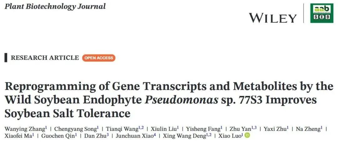 文献分享 | 野生大豆内生菌Pseudomonas sp. 77S3对基因转录和代谢物的重编程提高大豆耐盐性